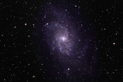 The Pinwheel Galaxy (Triangulum)